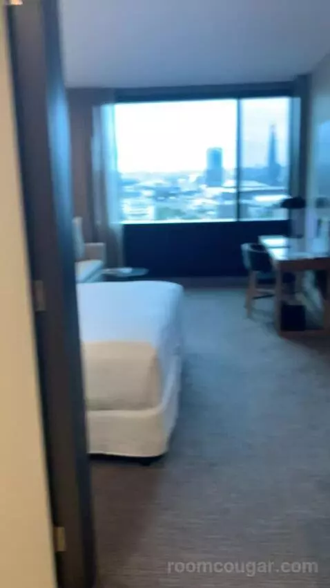 Superior King Room (#1803) picture #3