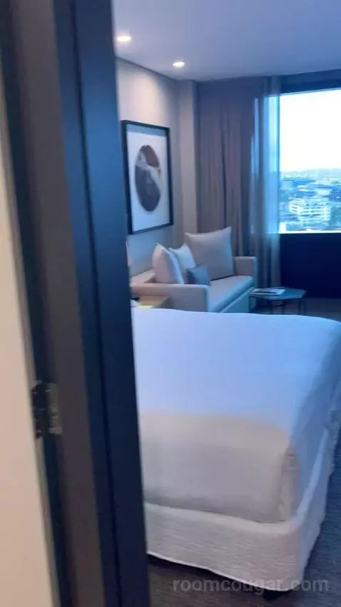 Superior King Room (#1803) picture #23