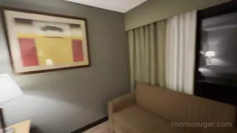 King Room (#218) picture #12