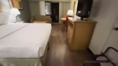King Room (#218) picture #7