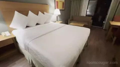 King Room (#218) picture #8