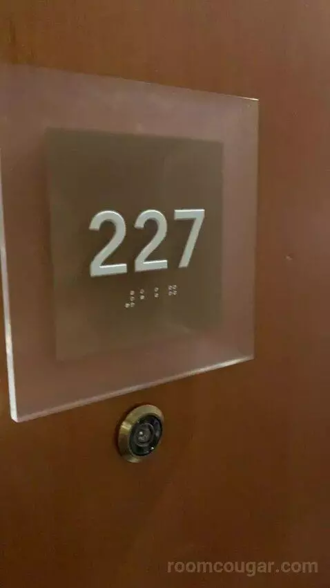 Standard (#227) picture #1