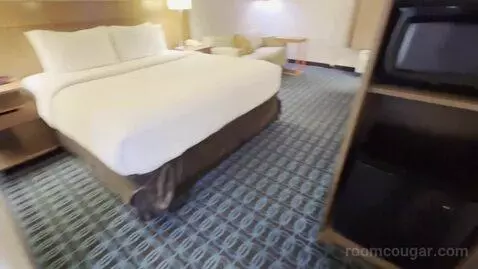 Guest Room with One King Bed and Sofa Bed (#437) picture #4