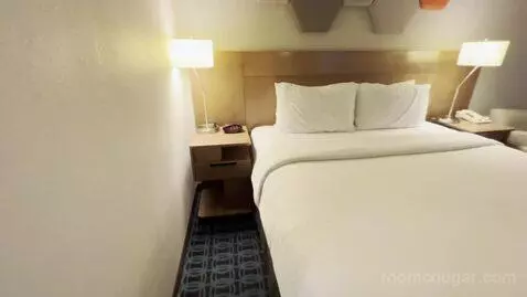 Guest Room with One King Bed and Sofa Bed (#437) picture #5