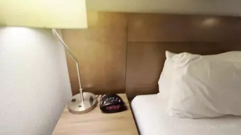 Guest Room with One King Bed and Sofa Bed (#437) picture #6