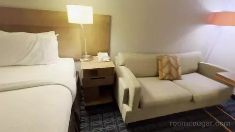 Guest Room with One King Bed and Sofa Bed (#437) picture #8