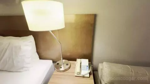 Guest Room with One King Bed and Sofa Bed (#437) picture #9