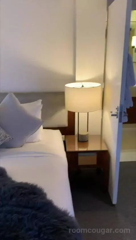 Loft Suite, Bi-Level Loft, In Loft: 1 King, Skyline View bed picture #6