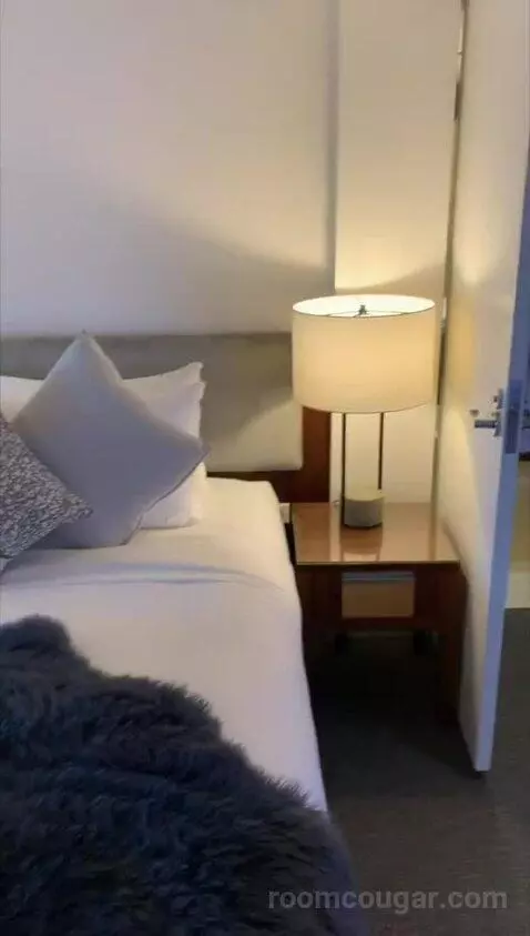 Loft Suite, Bi-Level Loft, In Loft: 1 King, Skyline View bed picture #7
