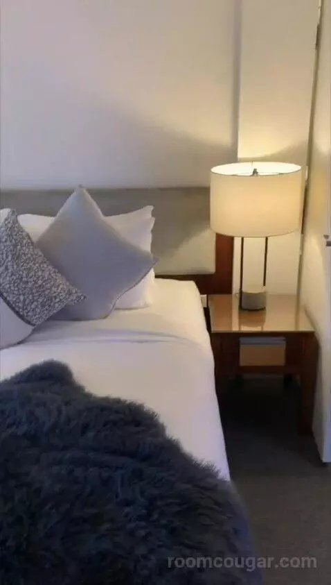 Loft Suite, Bi-Level Loft, In Loft: 1 King, Skyline View bed picture #8