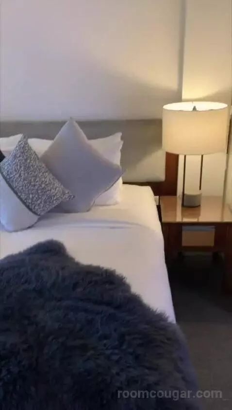 Loft Suite, Bi-Level Loft, In Loft: 1 King, Skyline View bed picture #9