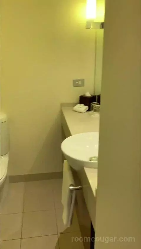 Loft Suite, Bi-Level Loft, In Loft: 1 King, Skyline View bathroom picture #1