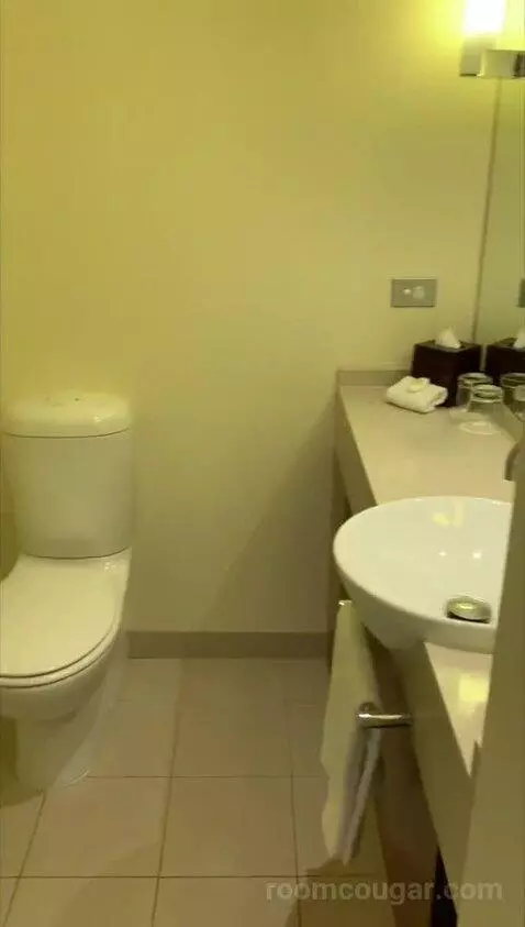 Loft Suite, Bi-Level Loft, In Loft: 1 King, Skyline View bathroom picture #3