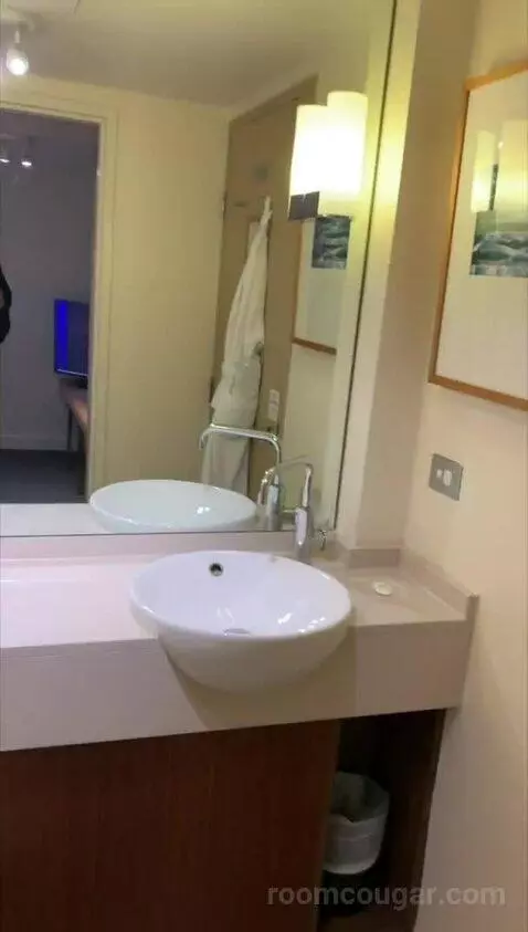Loft Suite, Bi-Level Loft, In Loft: 1 King, Skyline View bathroom picture #9