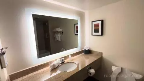 Executive King Suite (#518) bathroom picture #1