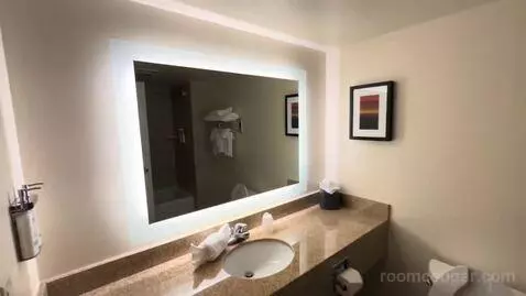 Executive King Suite (#518) bathroom picture #2