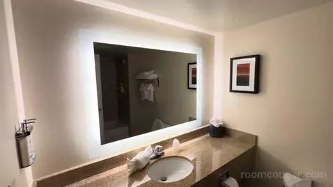 Executive King Suite (#518) bathroom picture #3