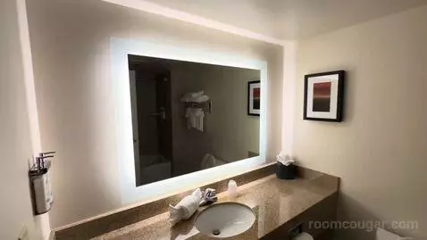 Executive King Suite (#518) bathroom picture #4