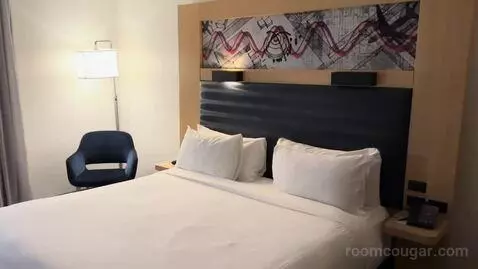 Breezy King, Larger Guest Room, 1 King (#925) bed picture #7