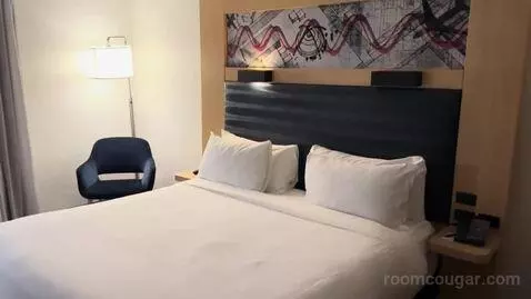 Breezy King, Larger Guest Room, 1 King (#925) bed picture #8