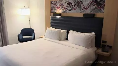 Breezy King, Larger Guest Room, 1 King (#925) bed picture #9