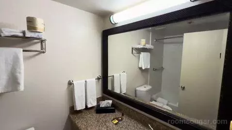 King Room (#231) bathroom picture #5