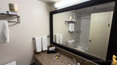 King Room (#231) bathroom picture #6