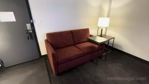 One-Bedroom Suite (#407) picture #2