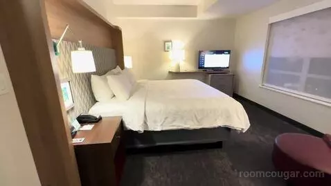 One-Bedroom Suite (#407) picture #11