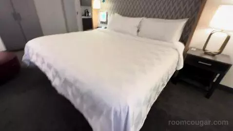 One-Bedroom Suite (#407) picture #15