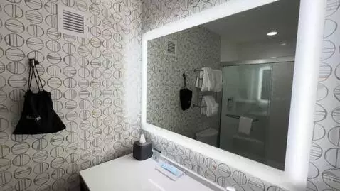 One-Bedroom Suite (#407) picture #18