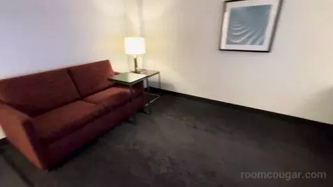 One-Bedroom Suite (#407) picture #6