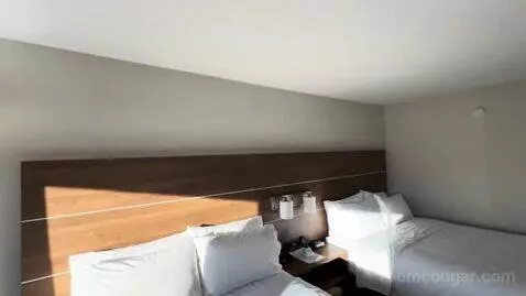 Queen Room with Two Queen Beds (#310) bed picture #6