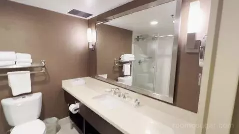 King Room (#1413) bathroom picture #4