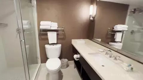 King Room (#1413) bathroom picture #6