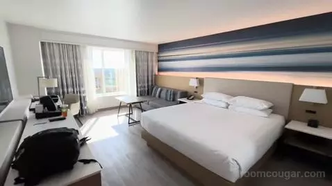 King Room (#1617) view picture #1