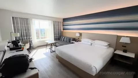 King Room (#1617) view picture #2