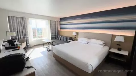 King Room (#1617) view picture #3