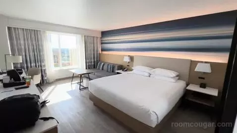 King Room (#1617) view picture #4