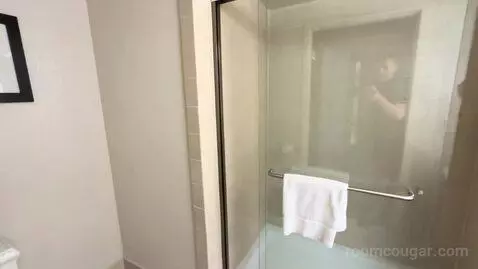 Club Level, Guest Room, 1 King, City View, High Floor (#702) picture #13