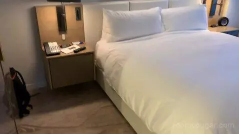 1 Bedroom Suite, 1 King (#1812) picture #14