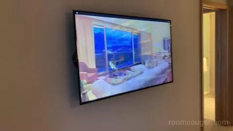 1 Bedroom Suite, 1 King (#1812) picture #17