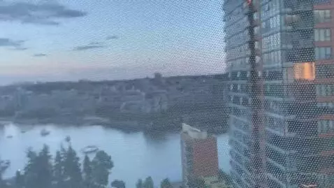 1 Bedroom Suite, 1 King (#1812) view picture #9