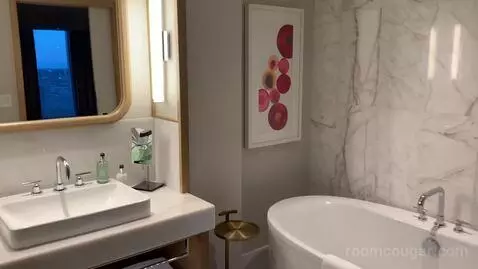 1 Bedroom Suite, 1 King (#1812) bathroom picture #3