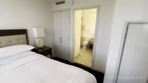 Junior King Suite - High Floor (#2902) picture #19