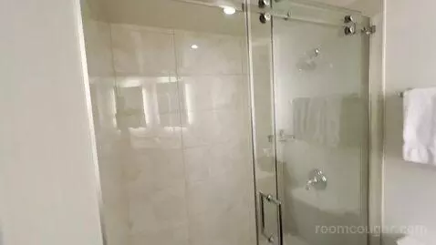 Junior King Suite - High Floor (#2902) picture #22