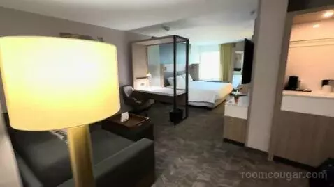 King Suite with Trundle Bed (#320) bed picture #1