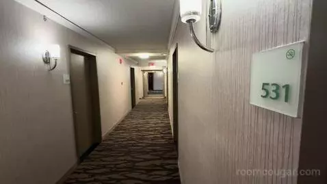 Executive King Room (#531) picture #1