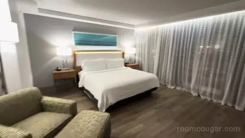 King Room (#804) picture #17