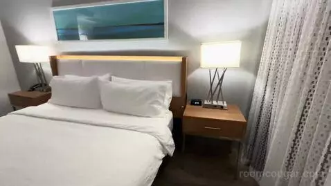 King Room (#804) picture #8